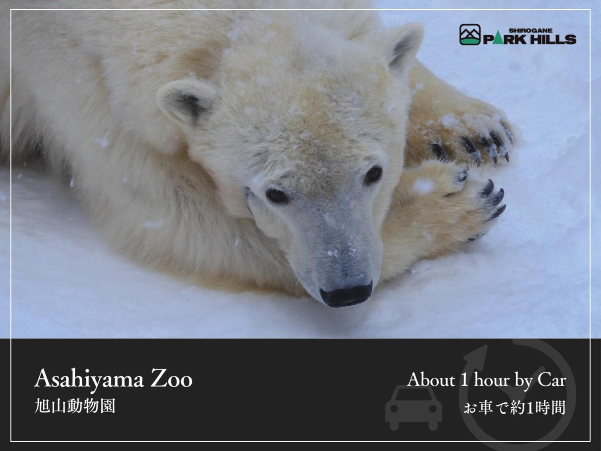 Biei Shirogane Onsen Hotel Park Hills Buitenkant foto