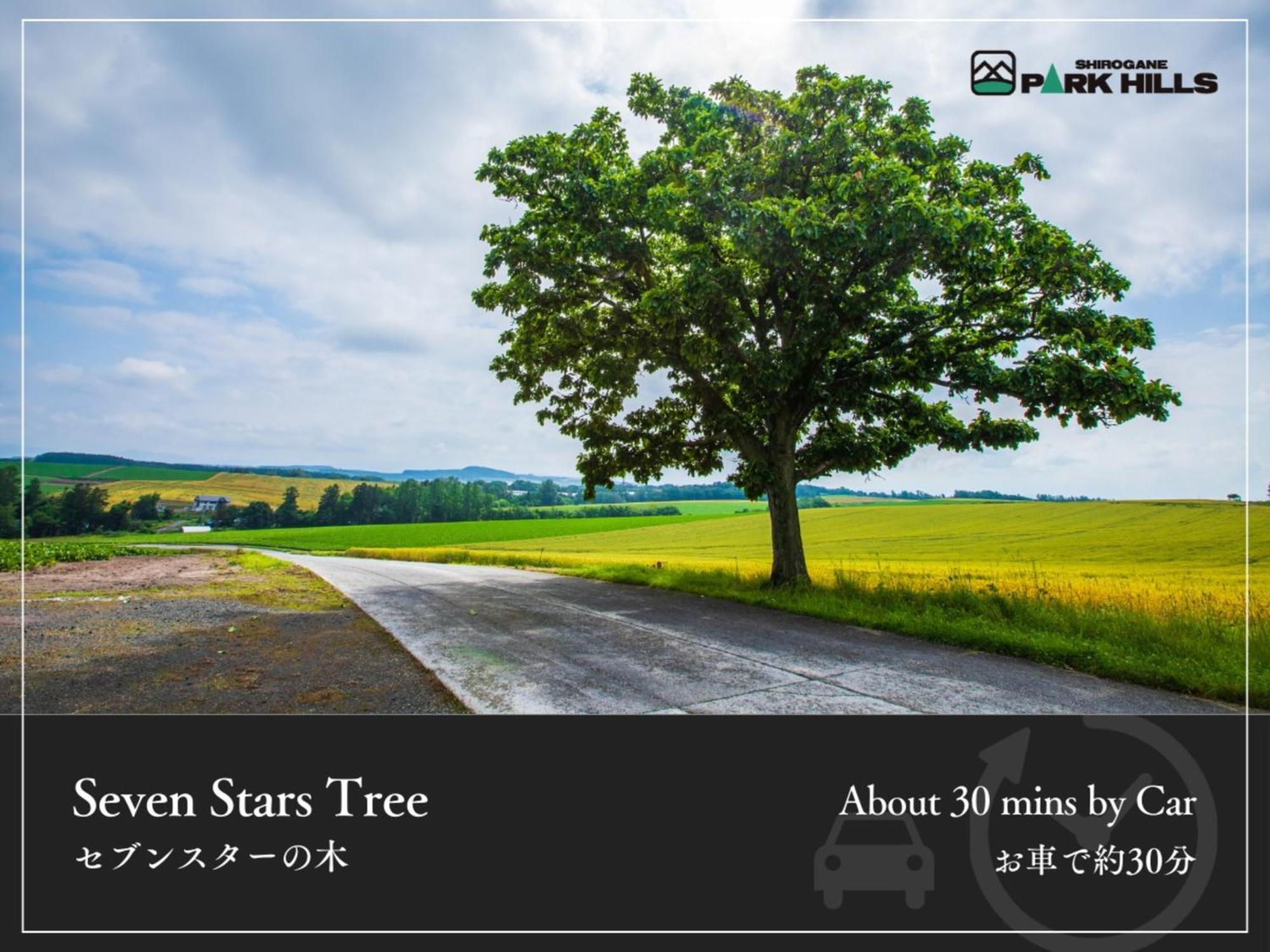 Biei Shirogane Onsen Hotel Park Hills Buitenkant foto
